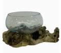 Glass Bowl On Wood Base/Succulent Dish